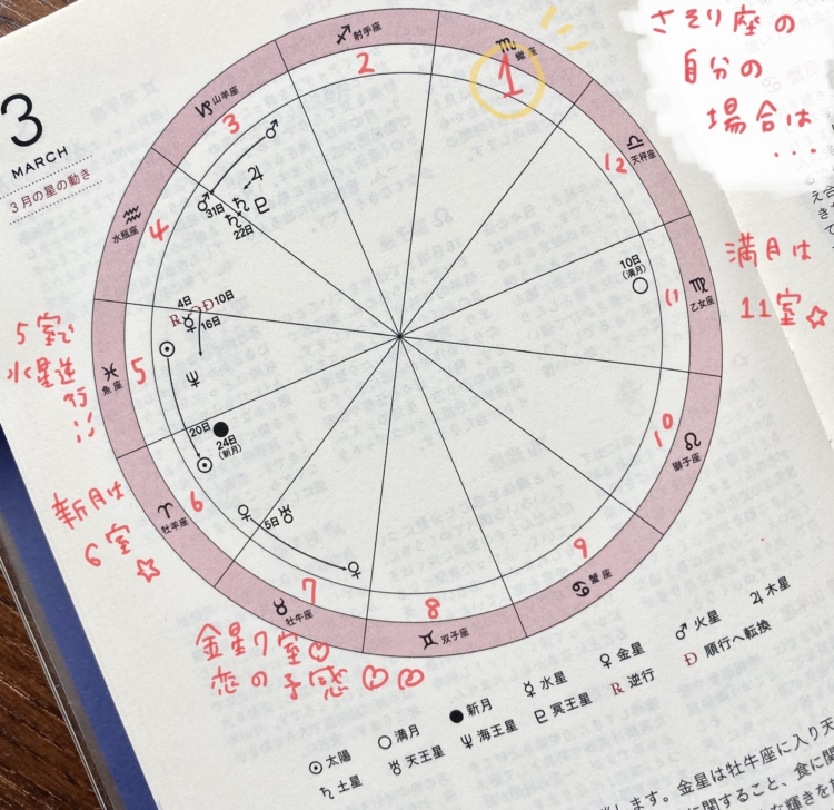 石井ゆかり　星ダイアリー2020 チャート